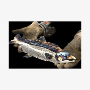 Metal Art Class Experience in Sitka