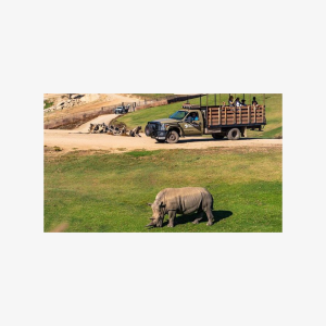 San Diego Zoo and Safari Park