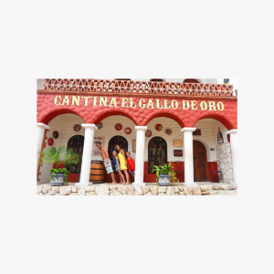 Xenses Entrance Ticket